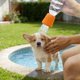 thumbnail image 5 of Cabezal de ducha portátil para limpieza de mascotas, cabezal de ducha de silicona para exteriores, suministros de limpieza para mascotas, boquilla de silicona, 5 of 6