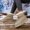 Beige, variant on Womens Winter Cozy Mid Calf Boots Sherpa Fleece Lined Fold Over Fur Collar Warm Booties Lace Up Chunky Sole Casual Shoes Botas de Invierno Mujer