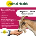 thumbnail image 4 of St. Gabriel Organics GoodEarth Food-Grade Diatomaceous Earth, OMRI Listed, 4lb, 4 of 7