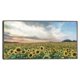 thumbnail image 1 of Cuadro Decorativo - Campos de oro Jr Impresión en canvas, estrechado, 1 of 2