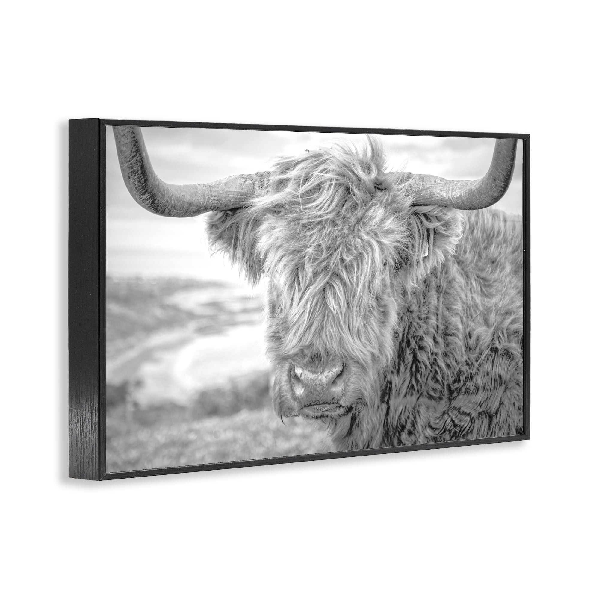 Stupell Industries Close Up Fuzzy Cattle Animals & Insects Photography Black Framed Art Print Wall Art, 18 x 12
