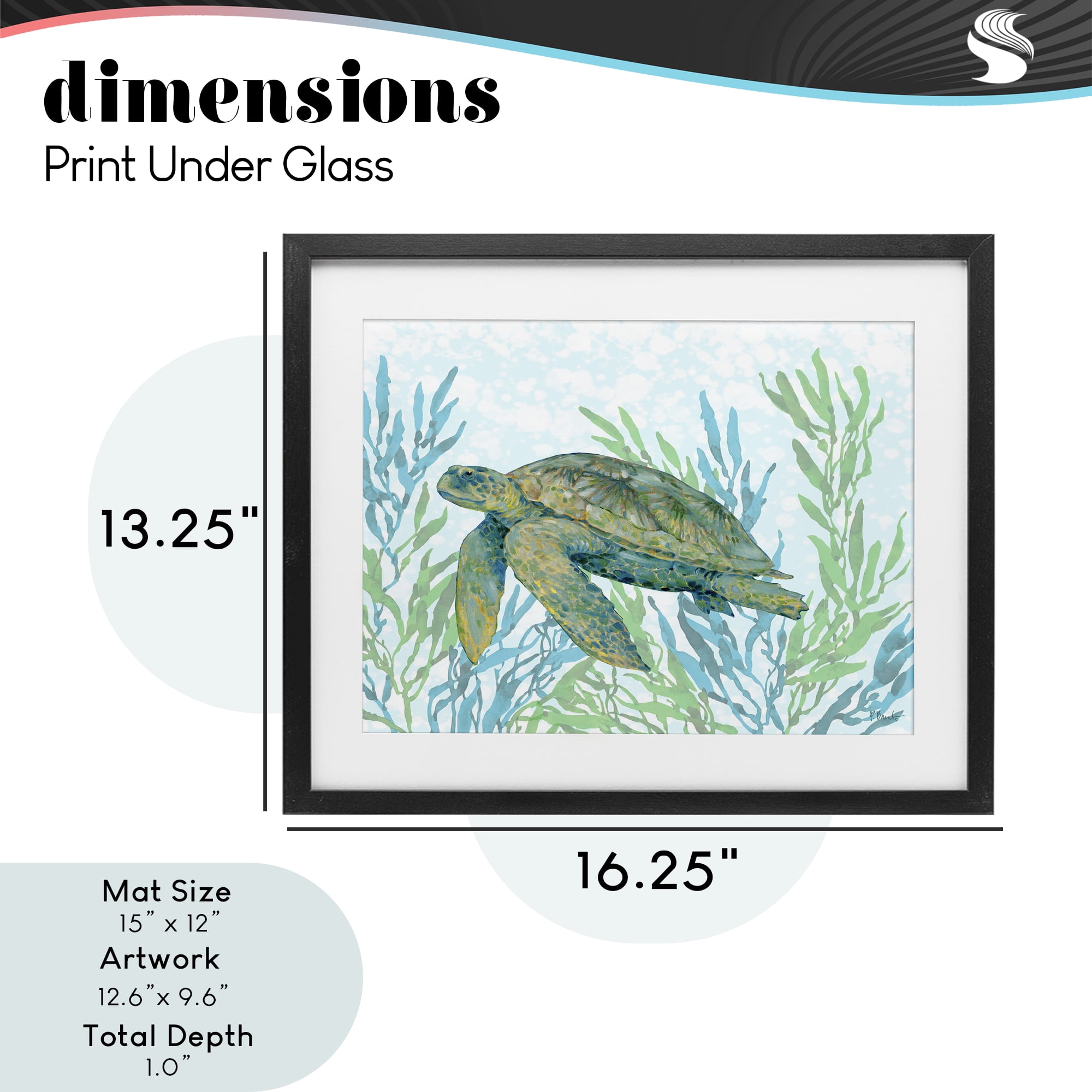 Stupell Industries Tasman Turtle in Seagrass Black Framed Print Under Glass, design by Paul Brent