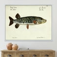 thumbnail image 2 of Portrait Of A Green Fish On Beige 32 in x 24 in Framed Painting Canvas Art Print, by Designart, 2 of 5