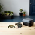 thumbnail image 4 of Raindrops 4Pcs Resin Turtle Habitat Platform with Easy Climbing Access and Resting Basking Area, 4 of 7