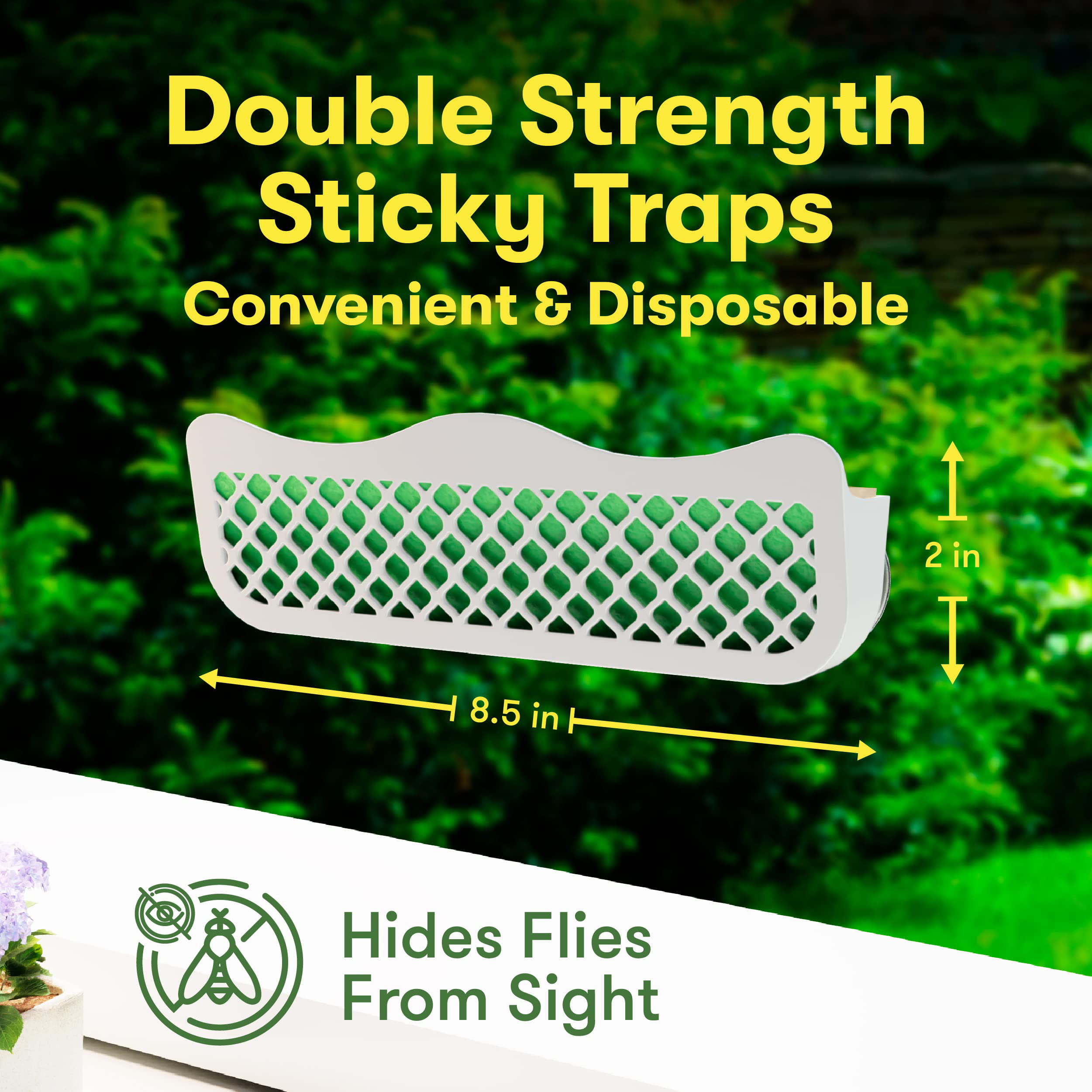 Window Fly Traps Indoor Clear 15pk Strips Indoor. The Only Double Strip Trap  for Home. Paper Catchers Inside Home Flypaper House Killer Bug Catcher -  Yahoo Shopping