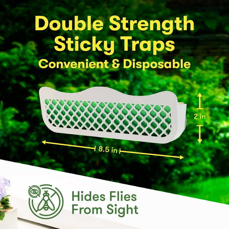 Trappify Fly Traps Indoor for Home - Window Fly Traps - House Window Fruit  Fly Traps for Indoors, Gnat - Disposable Indoor Fly Trap with Extra Sticky