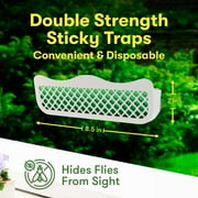 BUGMD Multipack Indoor Fly Traps - Sticky Bug Catching Strips for Inside Use