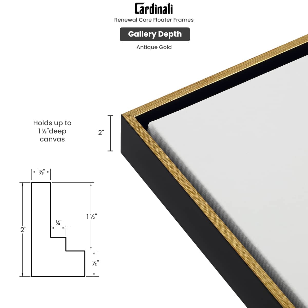 Cardinali Renewal Core Floater Frame, Black/Antique Gold, 18X24", For 1-1/2" Deep Canvas, 4 Pack - Open Back Floating Canvas Frames, No Glass or Backing, Hardware Included