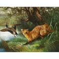 thumbnail image 2 of Adolf Mackeprang 14x12 Black Ornate Wood Framed Double Matted Museum Art Print Titled: A Fox in Search of a Gray Duck, 2 of 5
