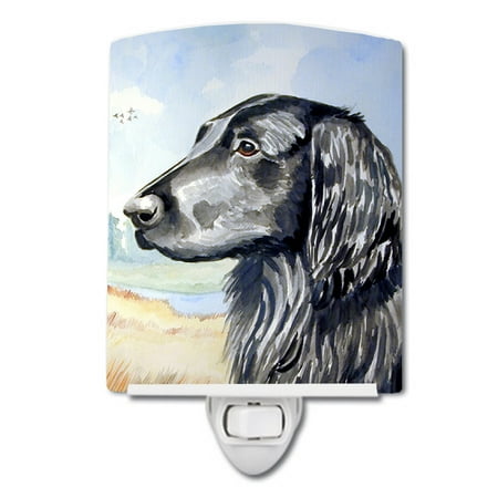 

Caroline s Treasures 7064CNL Flat Coated Retriever Ceramic Night Light 6x4x3 multicolor