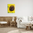 thumbnail image 2 of Stupell Industries Close Up Yellow Sunflower Florets Botanical Nature Photograph Gallery Wrapped Canvas Print Wall Art, Design by Heidi Bannon, 2 of 7