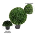 thumbnail image 3 of Vickerman 24" Artificial Potted Green Cedar Ball., 3 of 8