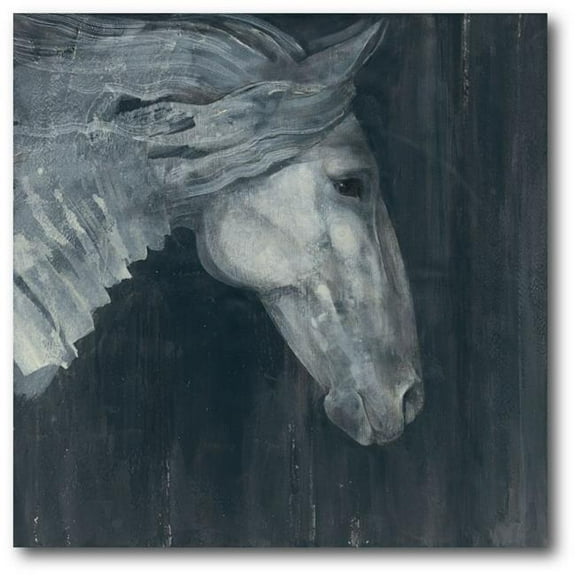 Courtside Market WEB-WT258-30x30 30 x 30 in. Midnight Gallery-Wrapped Canvas Wall Art