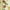 Ivory/Beige, variant on SAFAVIEH Chelsea Bosworth Oriental Area Rug, Ivory/Beige, 3' x 3' Round