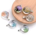 thumbnail image 4 of 3pcs Clear Round Glass Dried Flower Pendant Butterfly Flower Pendant Making Necklace Jewelry Accessories, 4 of 4