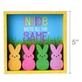 thumbnail image 2 of Peeps Bunny Chicks Shadow Box Easter Decorations - Wood Glitter 5in Set of 2, 2 of 3