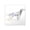 Clear, variant on CafePress - English Setter Sticker - Square Sticker 3" x 3"