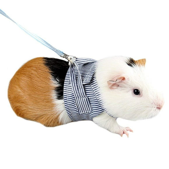 Pet Hamster Traction Strap Outdoor Training Soft Cotton Clothes Rope for Hamster Guinea Pig Specification:Blue L