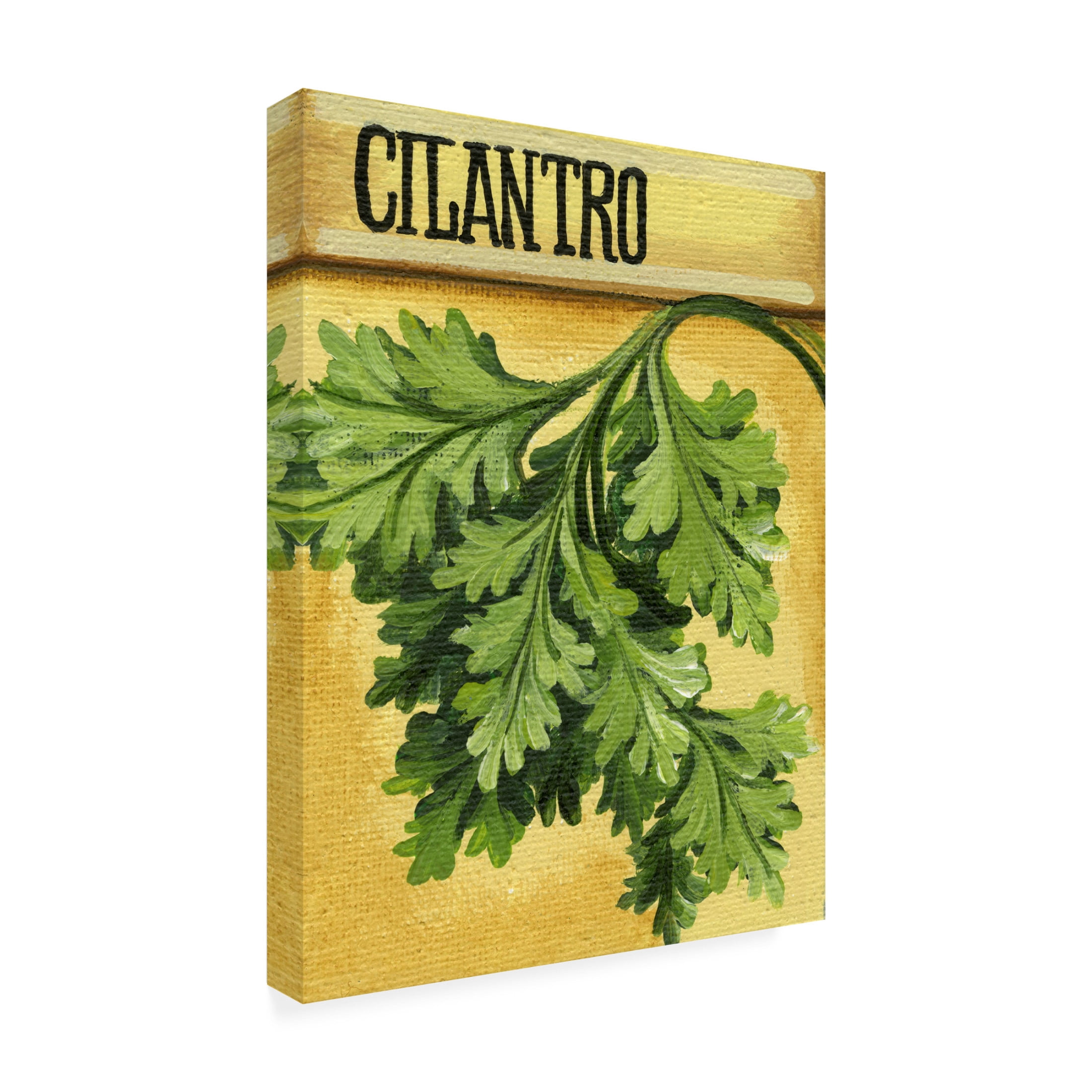 Canvas Wall Art - Debbi Wetzel 'Seed Packets 17 - Cilantro' Wall Art for Living Room, Bedroom, or Office Décor by Trademark Fine Art - 18 x 24 Inches