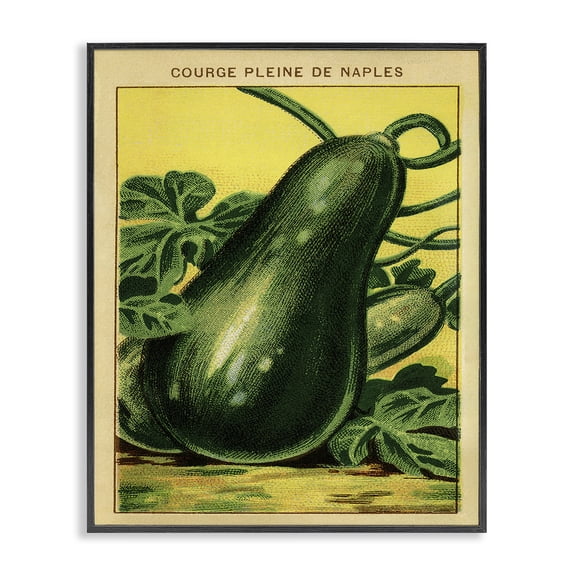 Stupell Industries Country Vintage Squash Food & Beverage Painting Black Framed Art Print Wall Art, 11 x 14