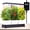 Black, variant on Indoor Garden Led Grow Light Planter Pots, Herb Kitchen Garden Grow Kit, Full Spectrum LED Plant Light for Plants, Height Adjustable Growing Lamp with Intelligent Controller