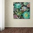 thumbnail image 3 of Trademark Fine Art 'Floral Succulents v2 Crop' Canvas Art by Danhui Nai, 3 of 3