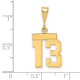thumbnail image 2 of Auriga Fine Jewelry 14K Yellow Gold Polished Number 13 Charm Pendant for Women, 2 of 4