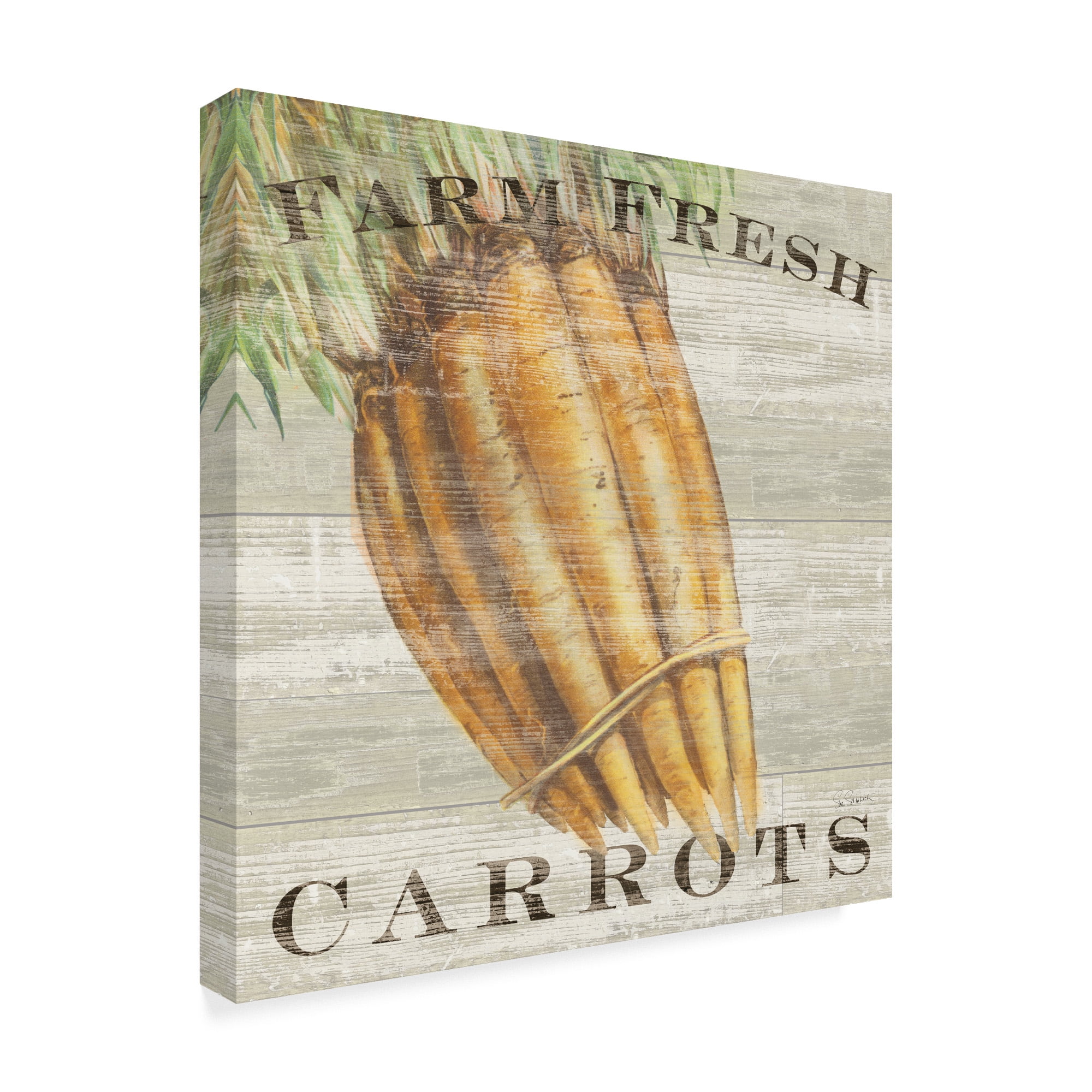 Trademark Fine Art 'Farm Fresh Carrots' Canvas Art by Sue Schlabach