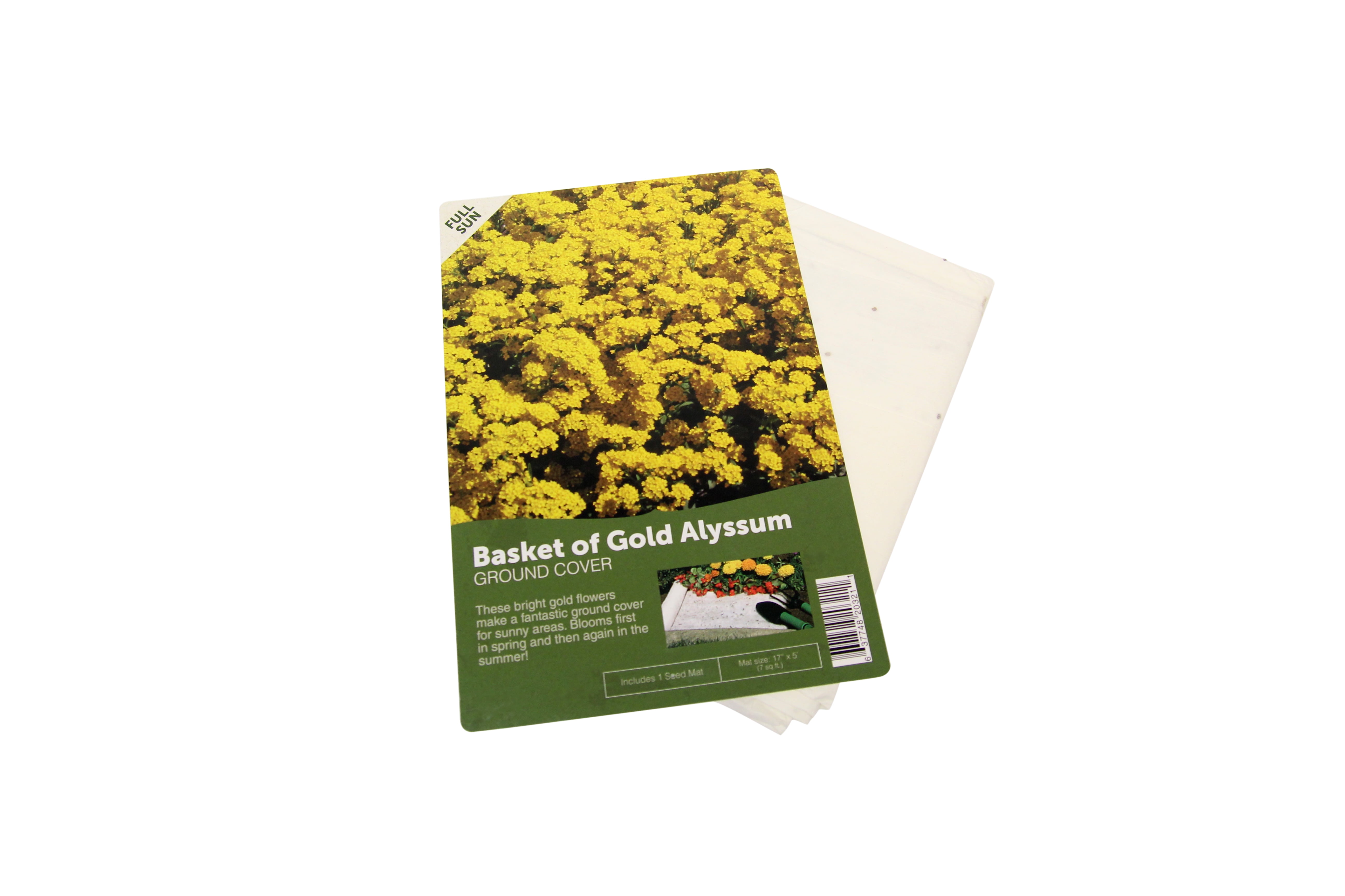 Gold Alyssum Pre Seeded Flower Mat Walmart Com