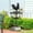 Coq, variante sur DYNWAVECA Girouette Animal Weathercock Cadeau Girouette Animal Girouette de Vent Indicateur de Direction du Vent pour Patio Extérieur Granges Remises Lapin