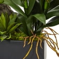 thumbnail image 3 of Nearly Natural Dendrobium Orchid and Bromeliad Silk Arrangement in Planter-Color:Purple, 3 of 6