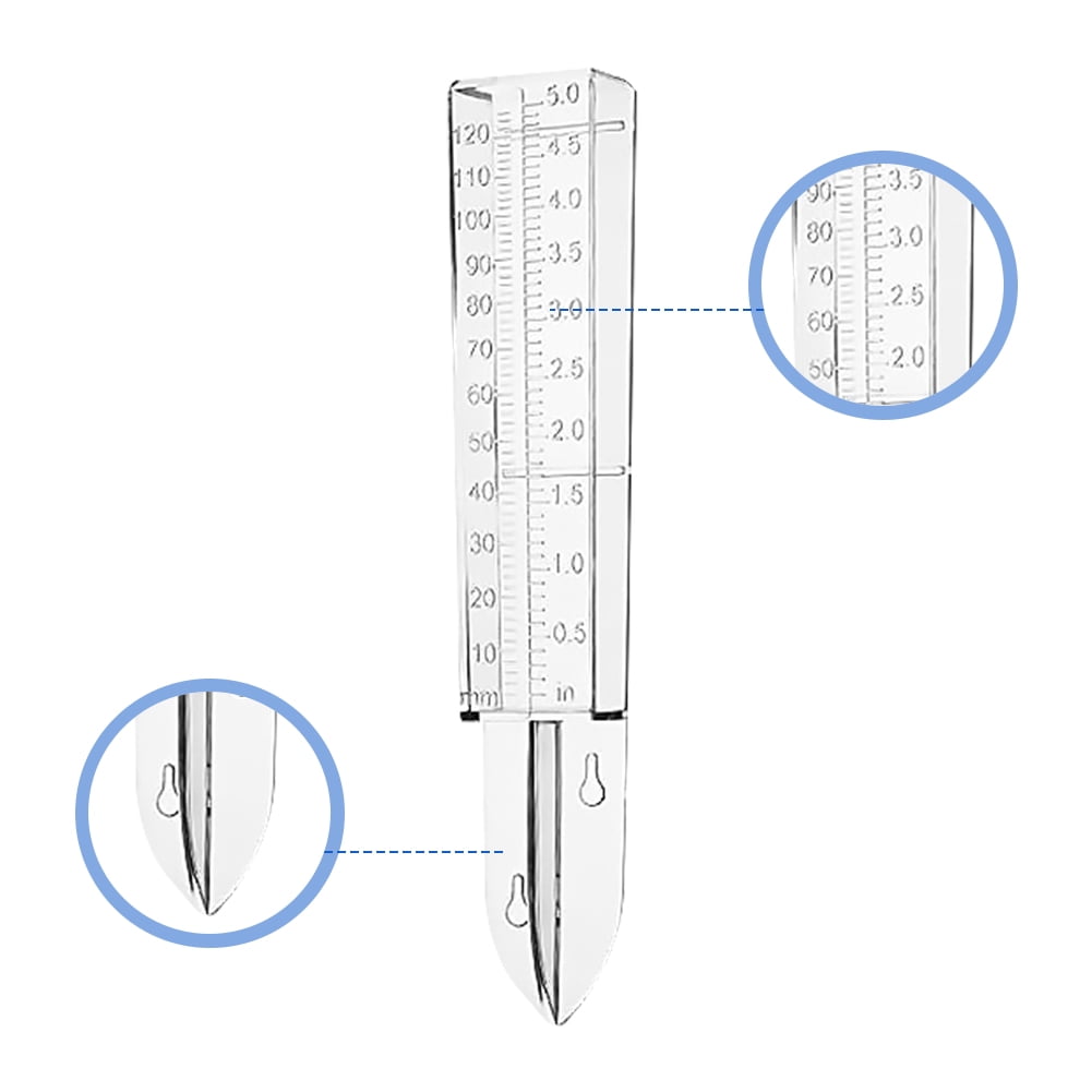 5 inch scale