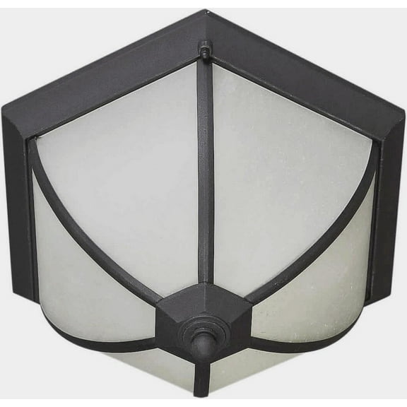 Forte Lighting 17007-02-04 Energy Efficient Transitional Outdoor Ceiling Fixture - Black