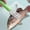 Vert, variante sur Catégorie de Produit Ustensiles de Cuisine - Brosse Détartrante avec Manche en Acier Inoxydable Outil de Raclage pour Chef et Nettoyage Maison Détartrant Fruits de Mer Nettoyant de Cuisine Robuste