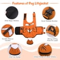 thumbnail image 3 of Chaleco salvavidas para perros DENTRUN, chalecos de seguridad para peces payaso nadando, 3 of 9