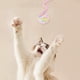 thumbnail image 5 of Juguete interactivo para gatos con cuerdas y hilo para jugar y hacer ejercicio en interiores, 5 of 5