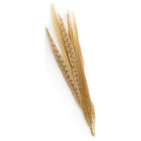 Zucker Feather Products Pheasant Tails Assorted Bleached - 14-18" - 10 pcs - Eggshell