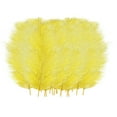 thumbnail image 3 of 50 Pcs Colourful Plumage For Wedding Party Centerpieces Flower Arrangement Home Decoration Diy Middle Floating Plume Hair Clothing Craft Decoration Plumage, 3 of 3