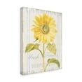 thumbnail image 2 of Trademark Fine Art 'Floursack Florals II' Canvas Art by Danhui Nai, 2 of 3