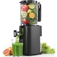 thumbnail image 1 of Extractor de jugos por prensado en frío YOYDS con boca de alimentación ancha de 5,5" y prensado lento, 1 of 8