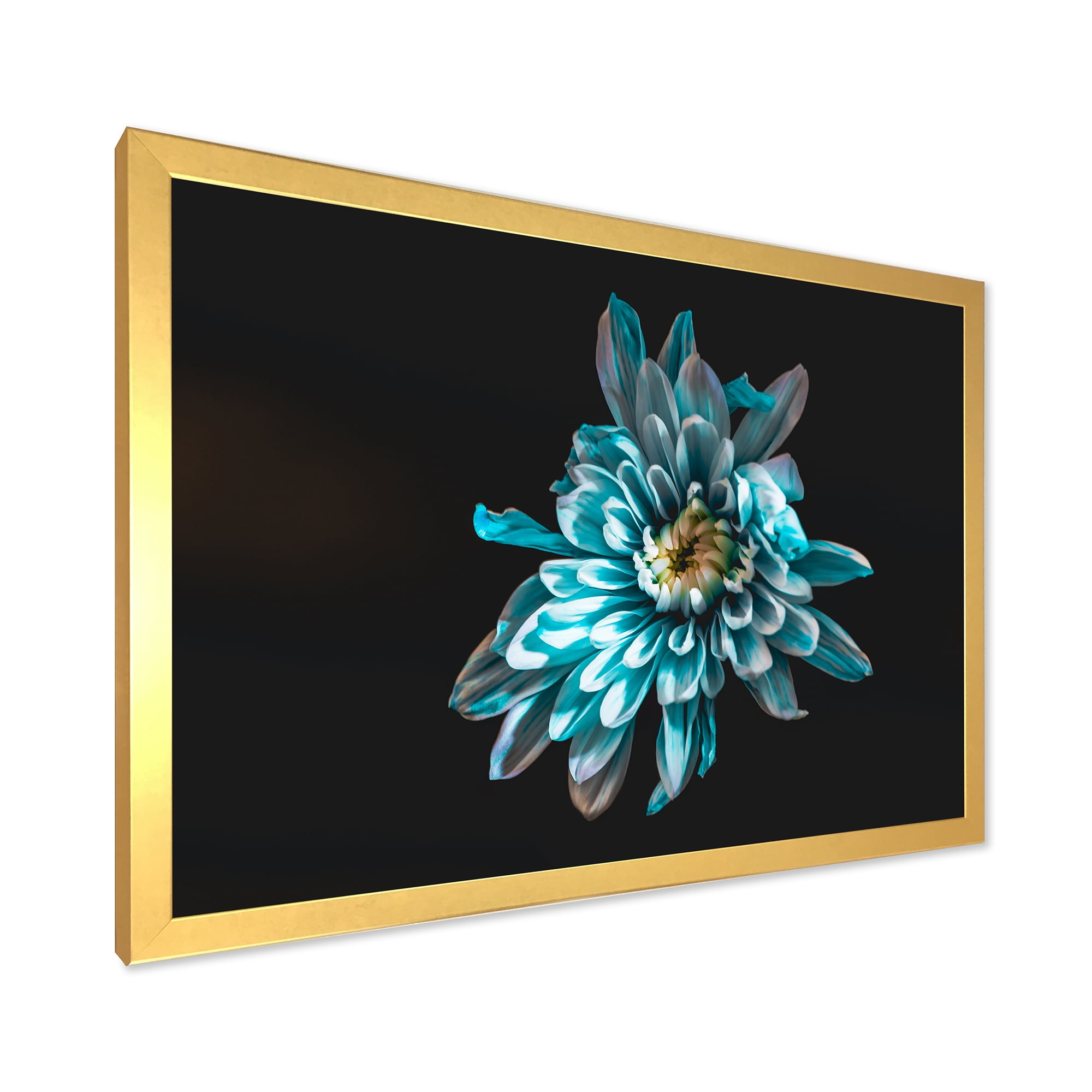 Designart 'Top View of White and Blue Flower' Traditional Framed Art Print