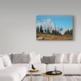 thumbnail image 3 of Trademark Fine Art 'Mountain Mists' Canvas Art by Ron Parker, 3 of 3