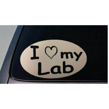 Labrador Retriever Lab Decal Sticker Car Window 6