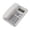 White, variant on Classical Desk Phone Home Telephone for Hotels and Business Offices Easy to Use Multiple Line Access With Caller Display