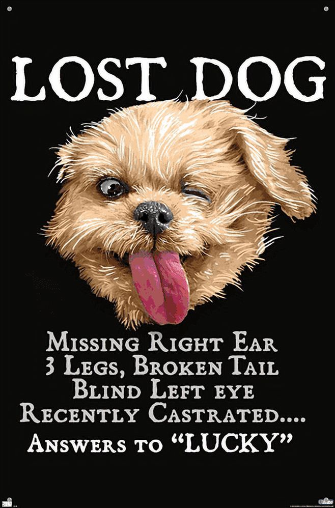 Lunch Hour Productions - Gravity Keeping Me Down Wall Poster, 14.725" x 22.375"