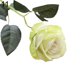thumbnail image 2 of Gwong Decoración hogareña 1 UNID Artificial Rose Flor MiniaScape Boda Partido Inicio Oficina Bonsai Decoración Gwong 21029798, 2 of 7