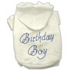 Birthday Pet Dog Cat Hoodie Rhinestone, "Birthday Boy"