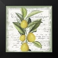 thumbnail image 2 of Sophie 6 15x15 Black Modern Framed Museum Art Print Titled - Citron III, 2 of 5