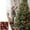 WE, variant on Suncoda Plstic Chr Istmas Balls, Flocking Painting Set 8cm Christmas Ball Painted Christmas Tree Pendant Multicolor Exquisite Workmanship Christmas Decorations