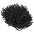thumbnail image 3 of Miangastore Extension Queue de Cheval Courte Fibre Noire 1Pcs 12*6 Po, 3 of 8